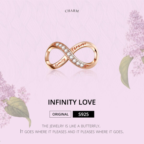 ΑΣΗΜΕΝΙΟ CHARM (925) Infinity–Family forever