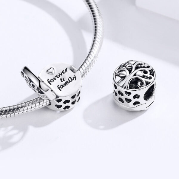 ΑΣΗΜΕΝΙΟ CHARM (925) Forever and family