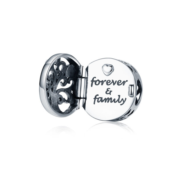 ΑΣΗΜΕΝΙΟ CHARM (925) Forever and family