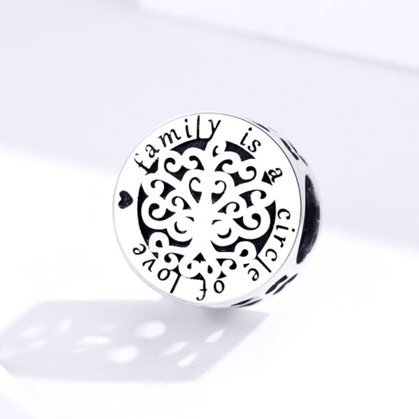 ΑΣΗΜΕΝΙΟ CHARM (925) Family is a circle of love