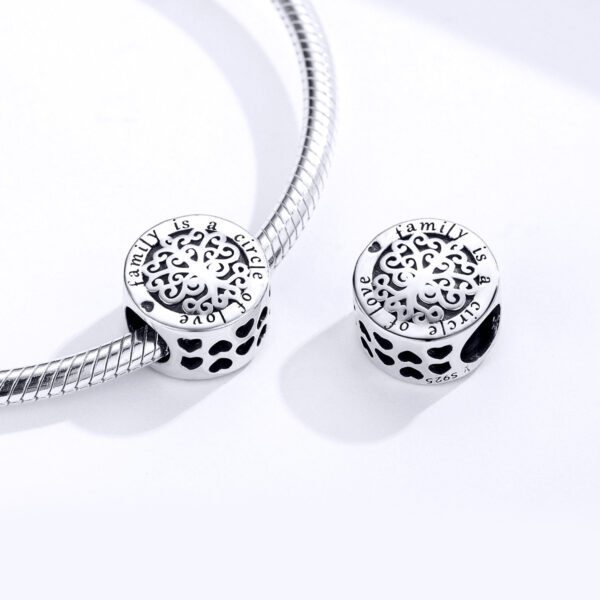 ΑΣΗΜΕΝΙΟ CHARM (925) Family is a circle of love