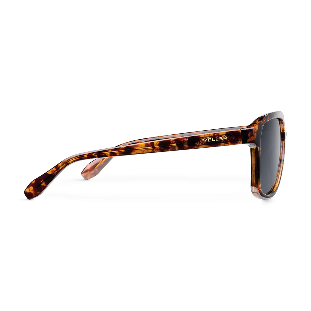 MELLER ΓΥΑΛΙΑ ΗΛΙΟΥ DAGA TIGRIS CARBON - Image 3